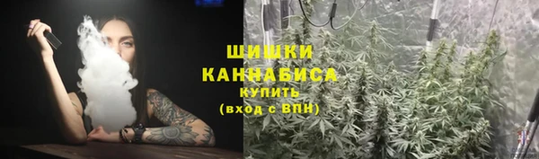сатива Алзамай
