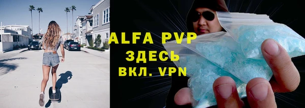 гидра Алексин