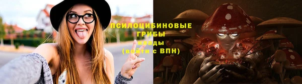 сатива Алзамай