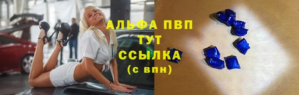 сатива Алзамай