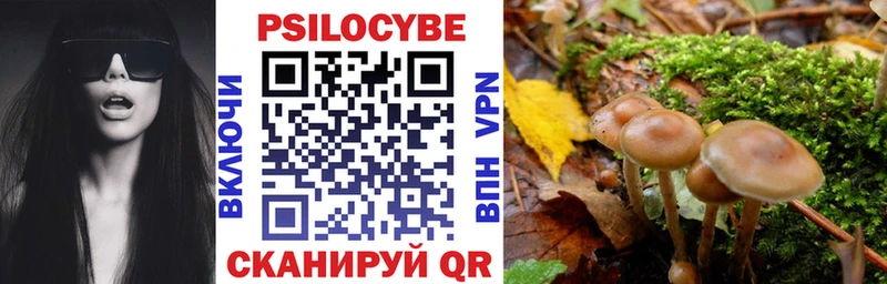 OMG tor  где купить наркотик  Катав-Ивановск  Галлюциногенные грибы мухоморы 